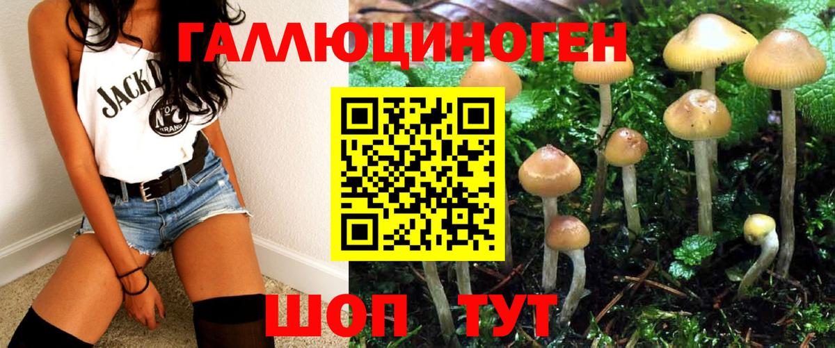 Псилоцибиновые грибы ЛСД Острогожск