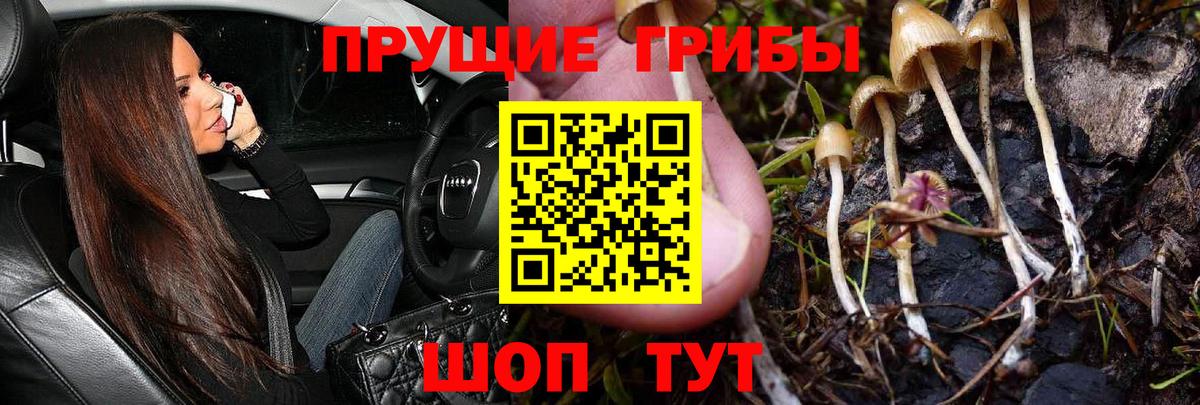 Острогожск  Галлюциногенные грибы GOLDEN TEACHER  Вход с VPN  Псилоцибиновые грибы Magic Shrooms 